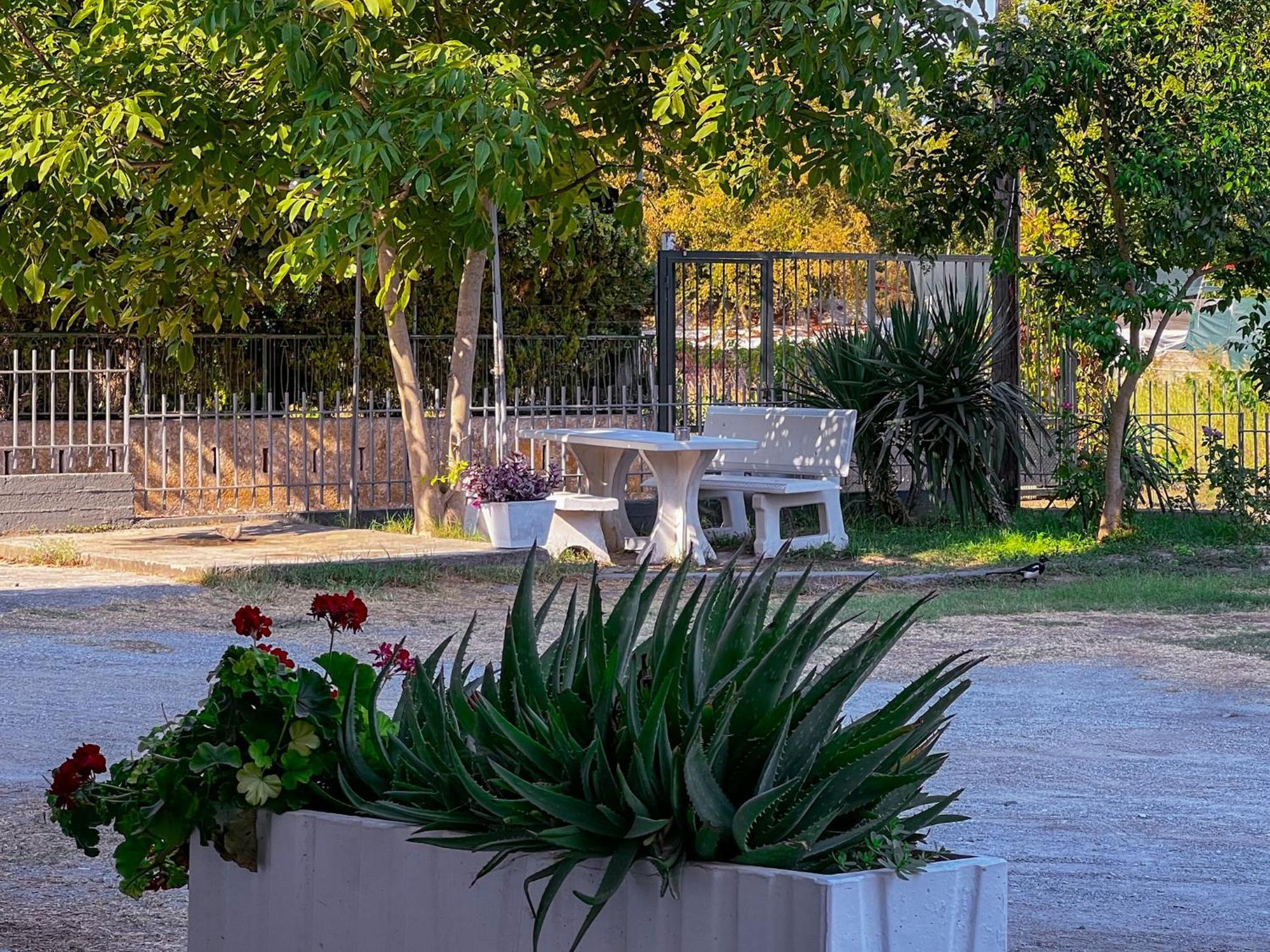Prado Apartment Hotel Limin Litochorou Ngoại thất bức ảnh